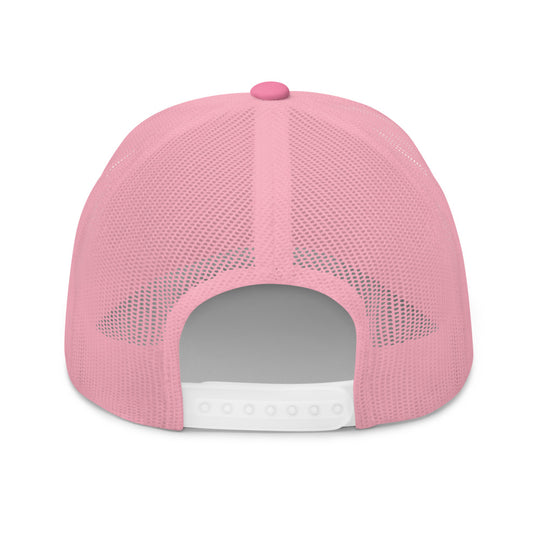 Surfinity Classic Wave Snapback - Yupoong 6606 - Pink/Pink